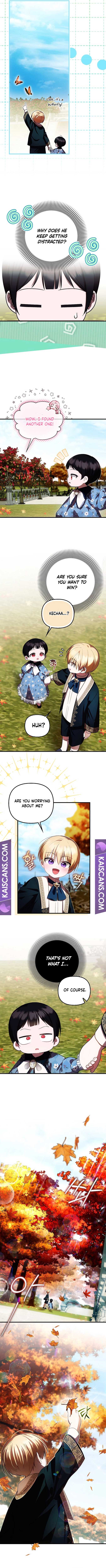 ch 24 5