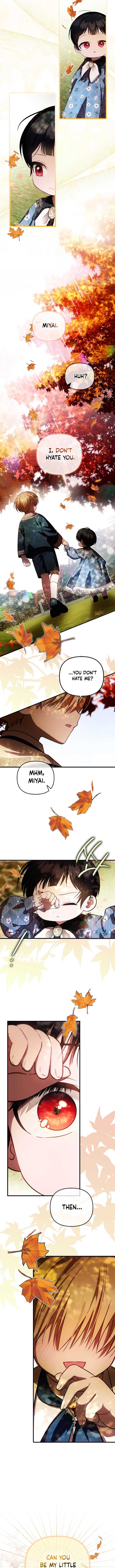 ch 24 8