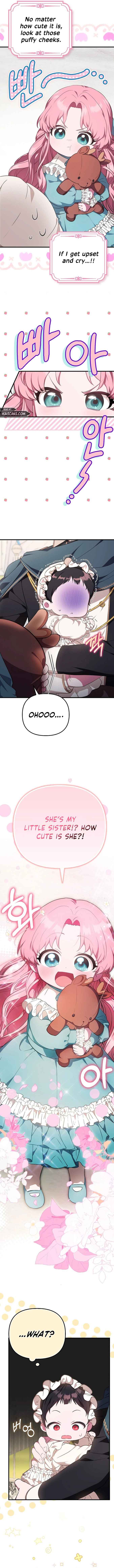 ch 2 2