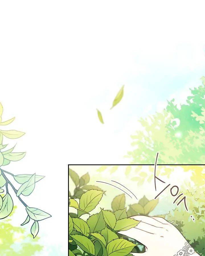 chap 25 31