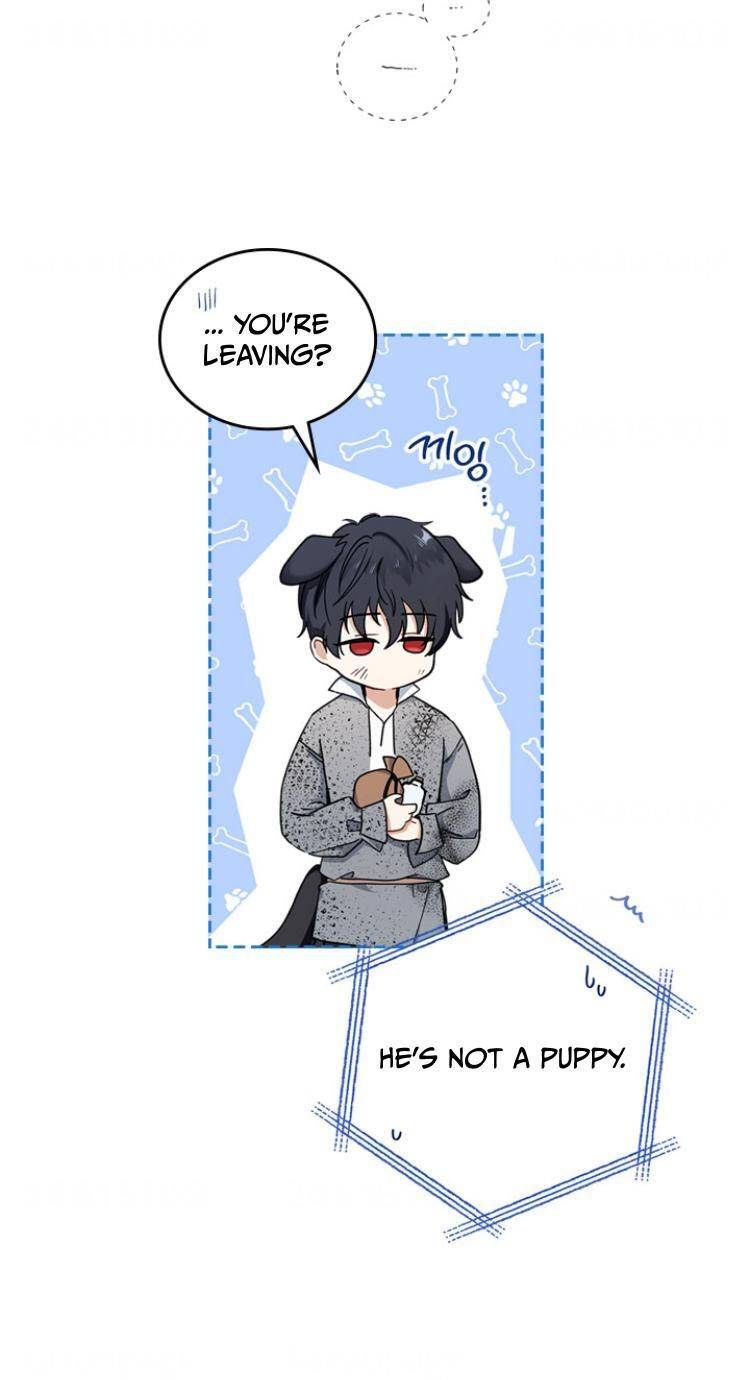 chap 26 62