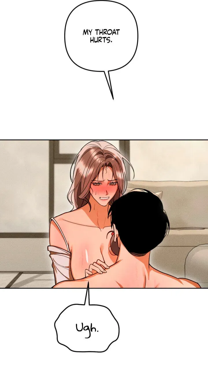 2d8d6a06109a