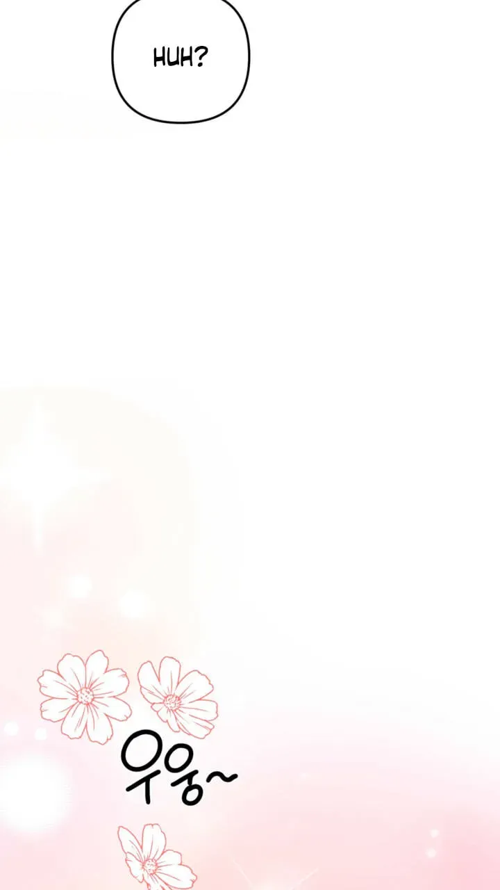 aa678d2d6685