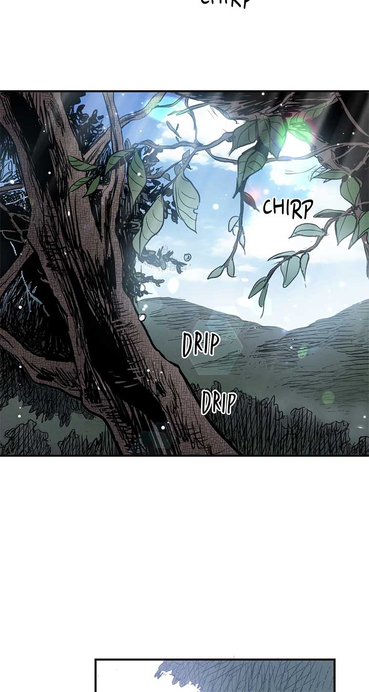 ch 43 37