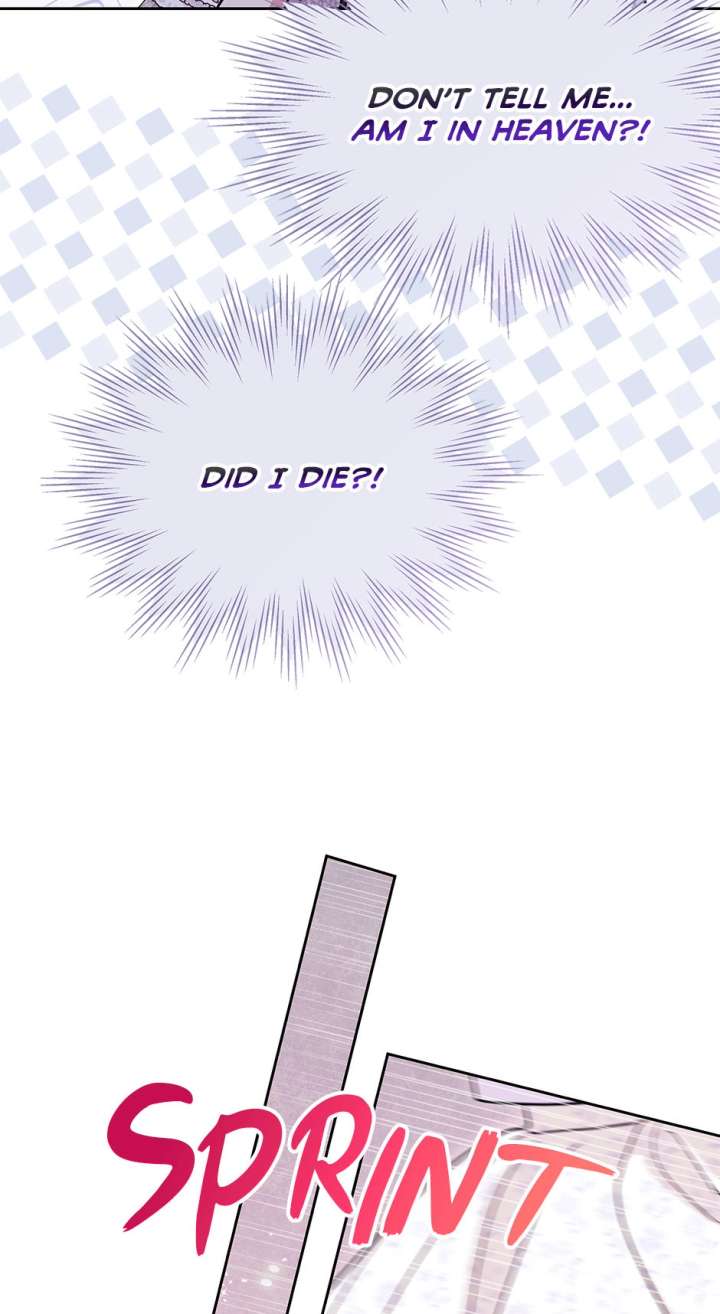 ch 114 13