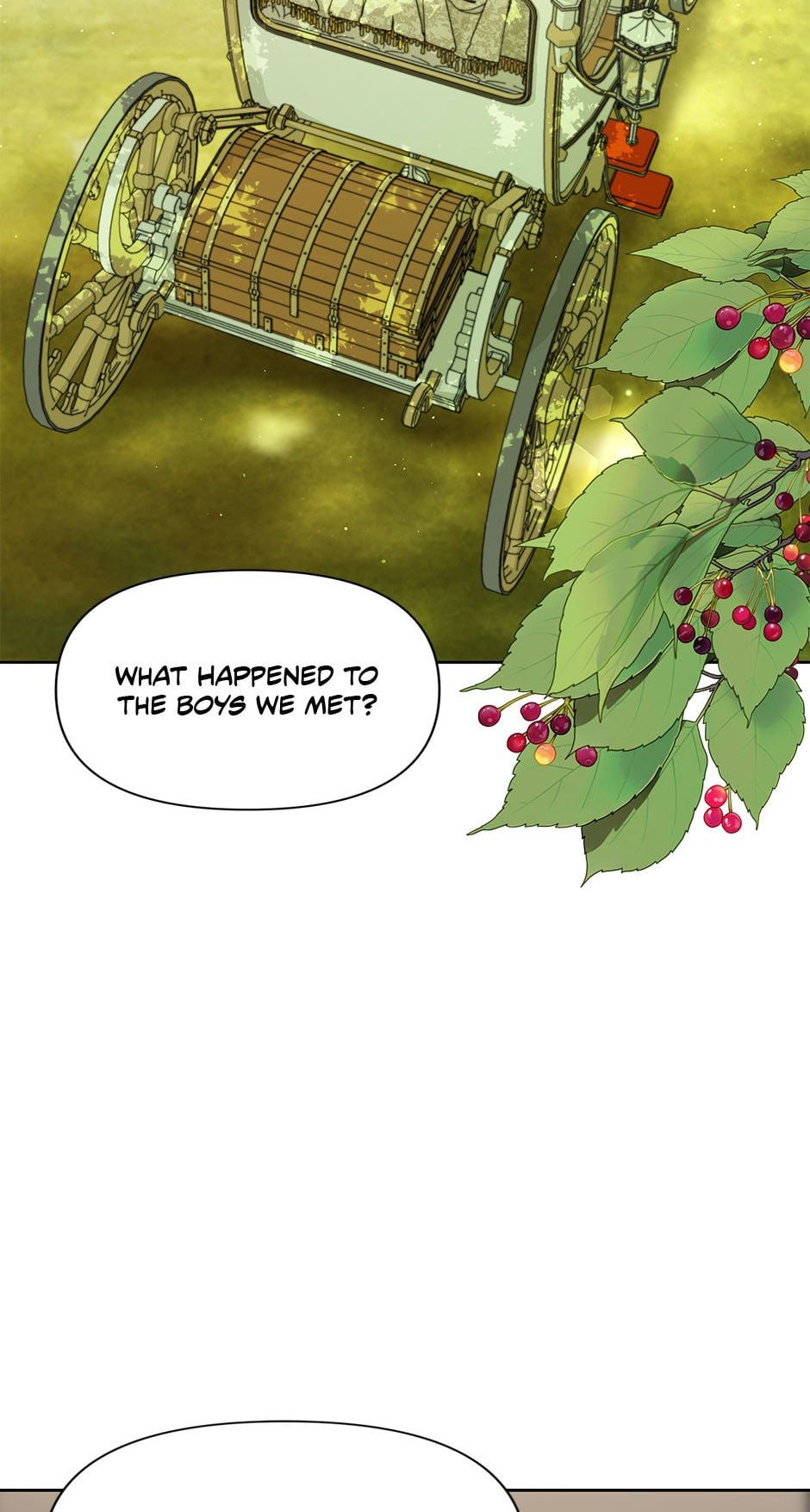 image 008
