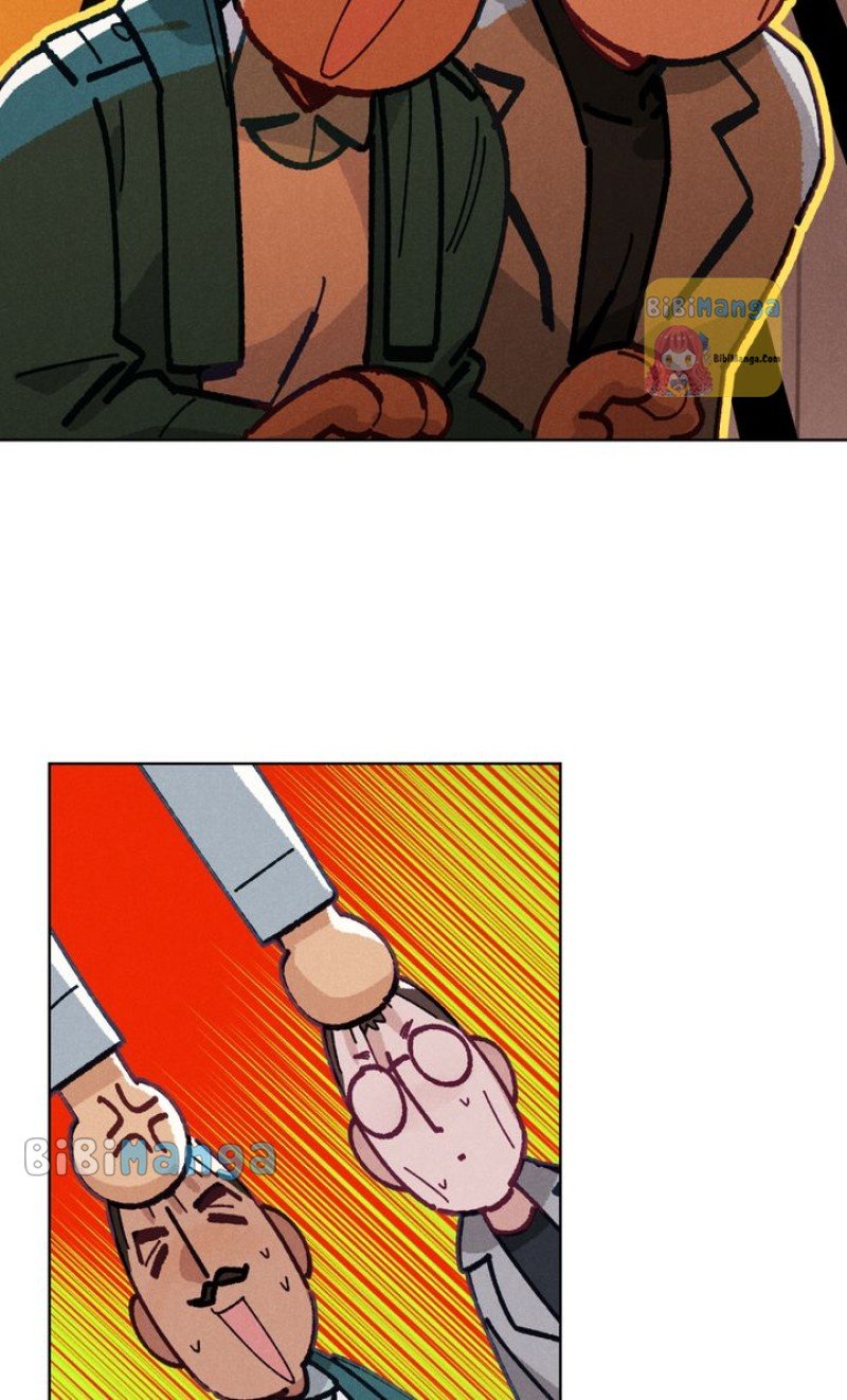 ch 17 16