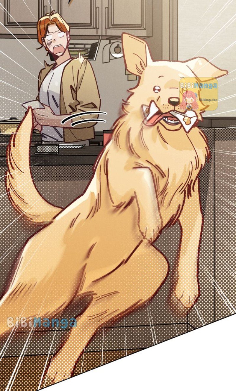 ch 22 42