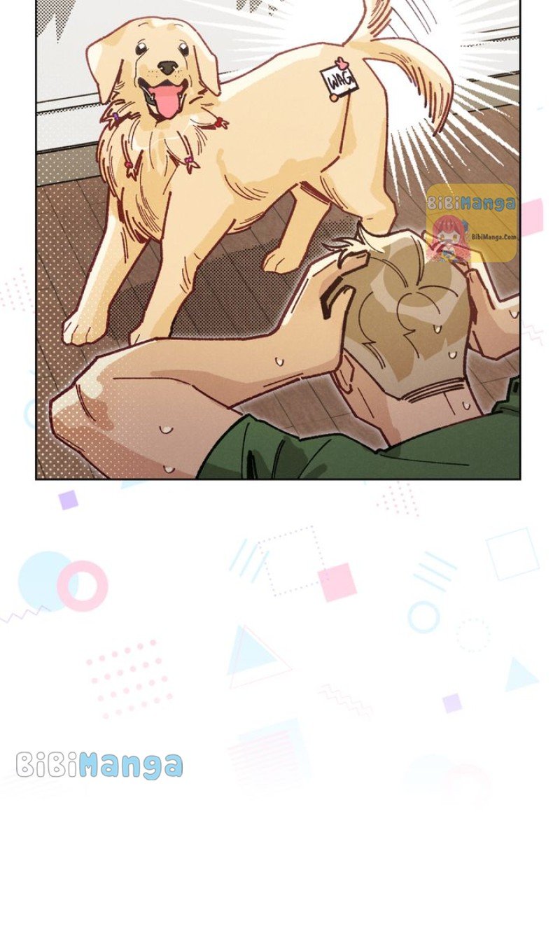 ch 22 52