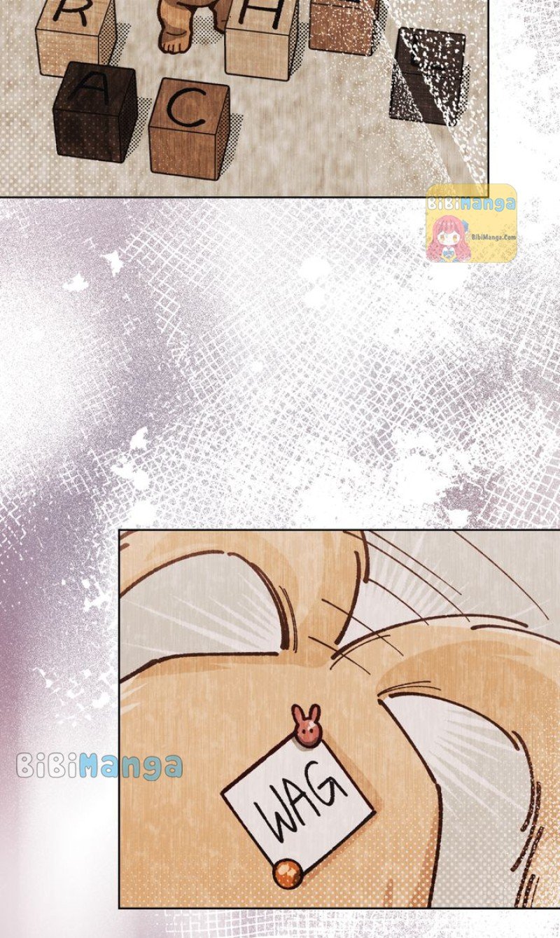 ch 24 27