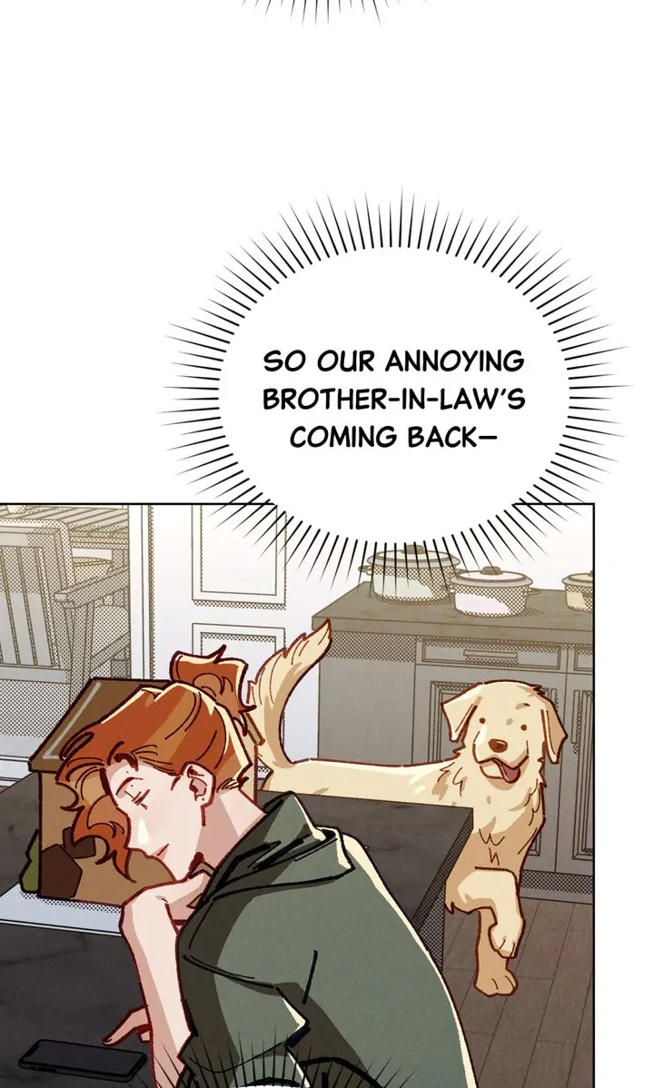 ch 37 48