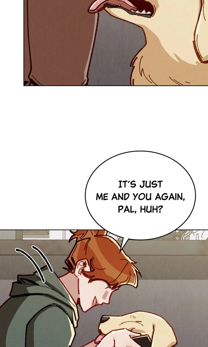 ch 37 50