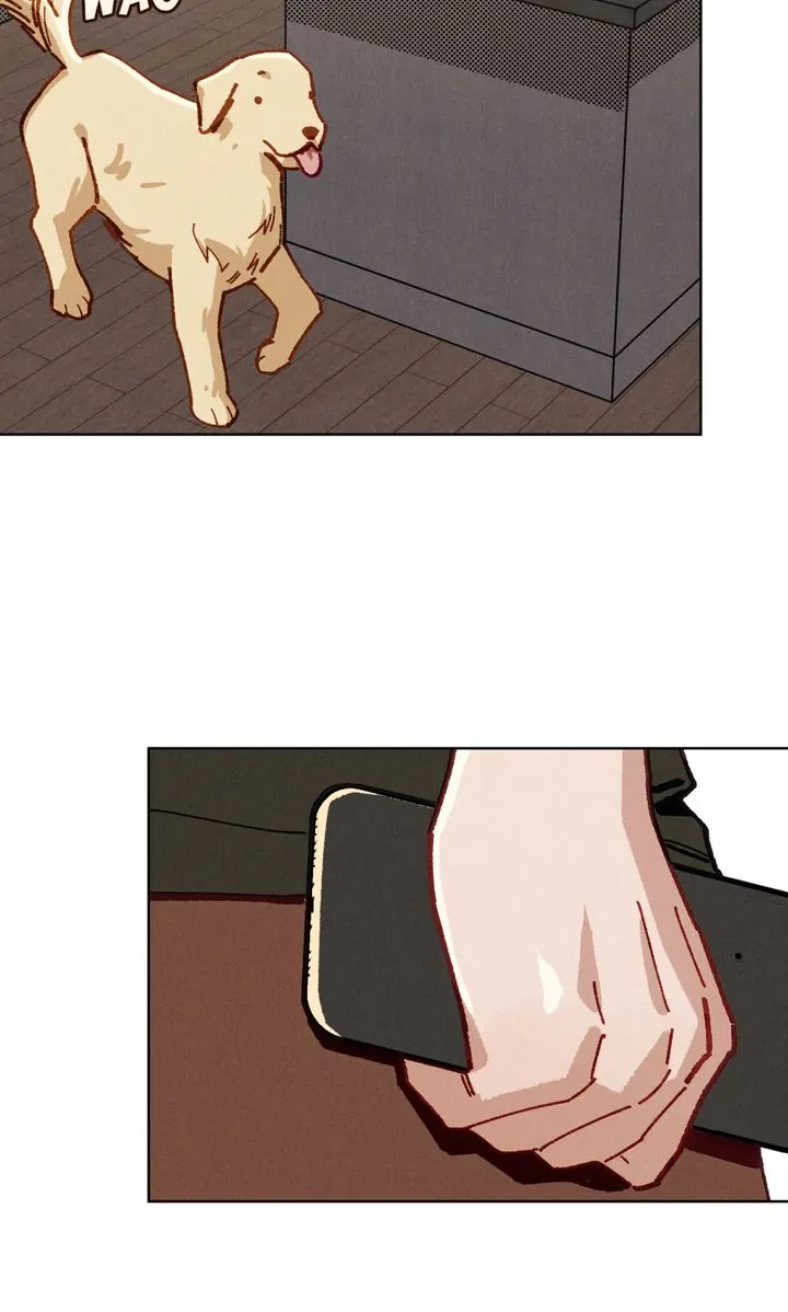ch 37 52
