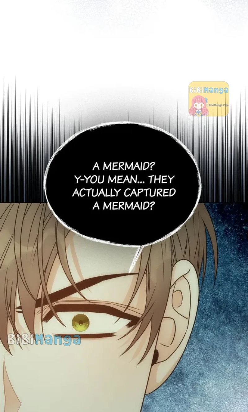 bibimanga 51