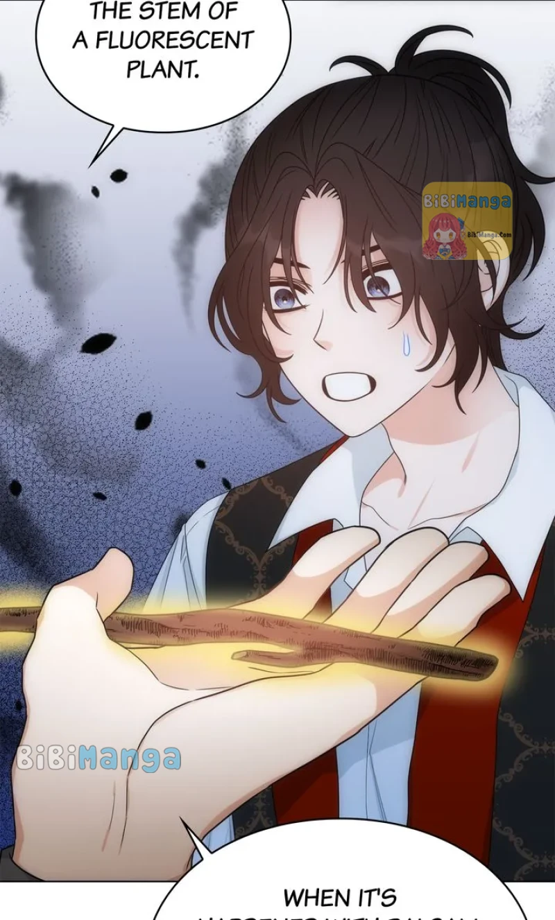 bibimanga 61