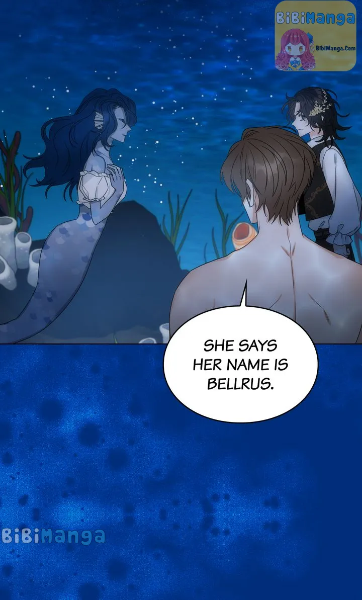 bibimanga 50