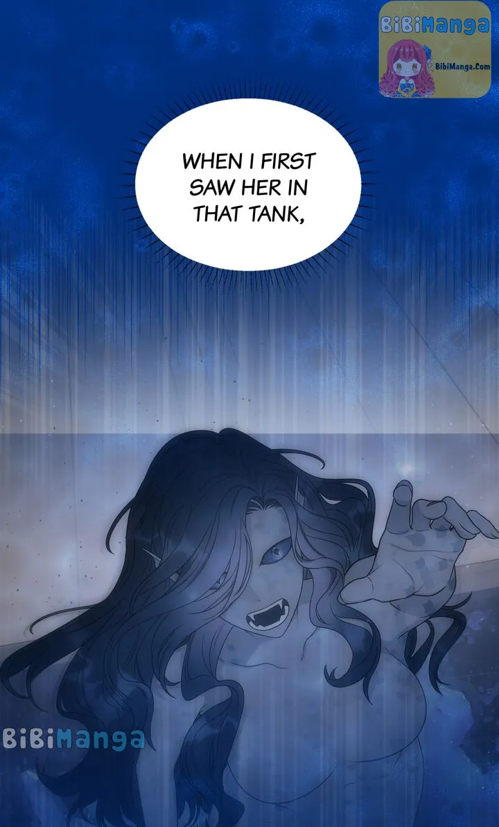 bibimanga 52