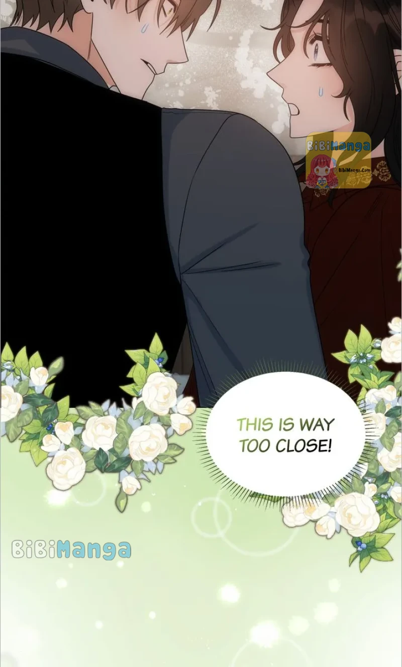bibimanga 002