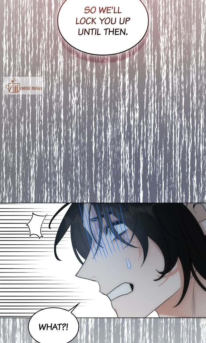ch 62 63