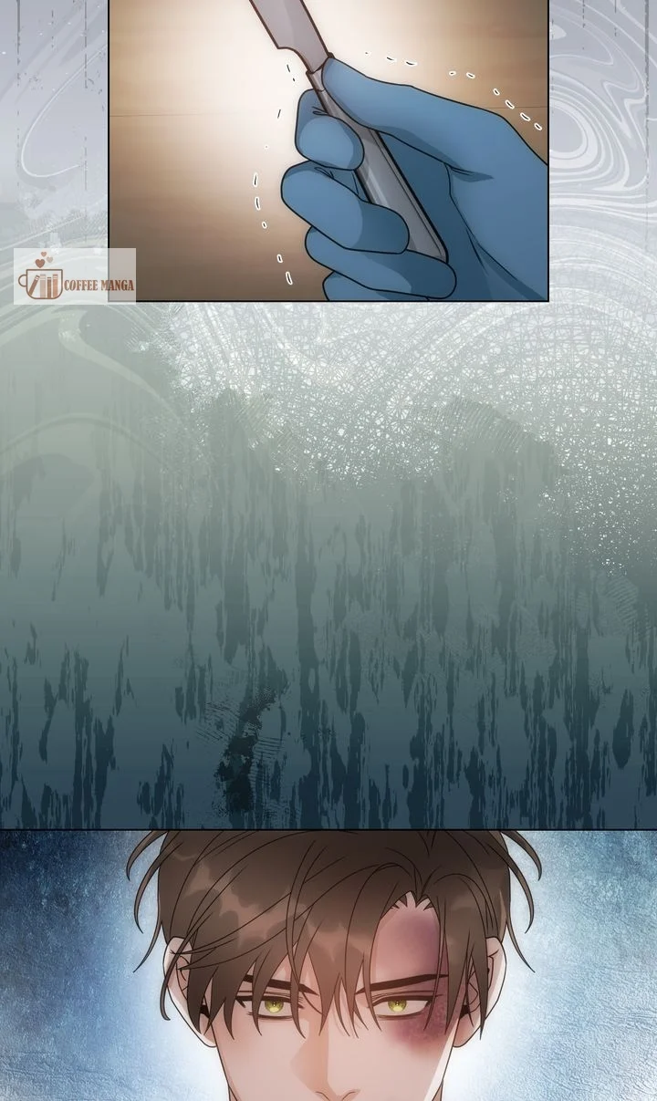 ch 65 35