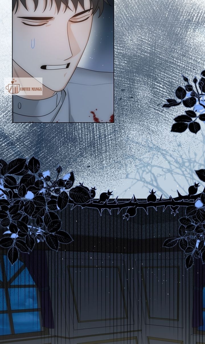 ch 65 67