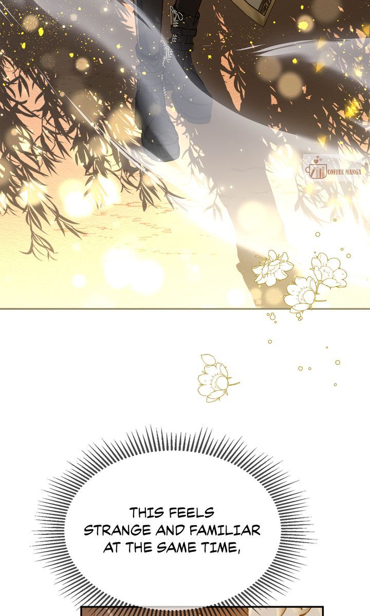 image 80 result