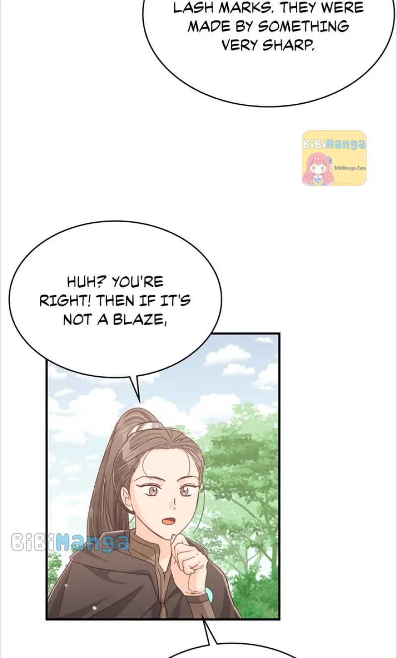 bibimanga 016