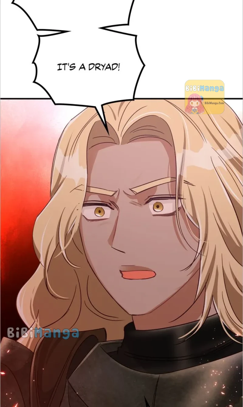 bibimanga 039