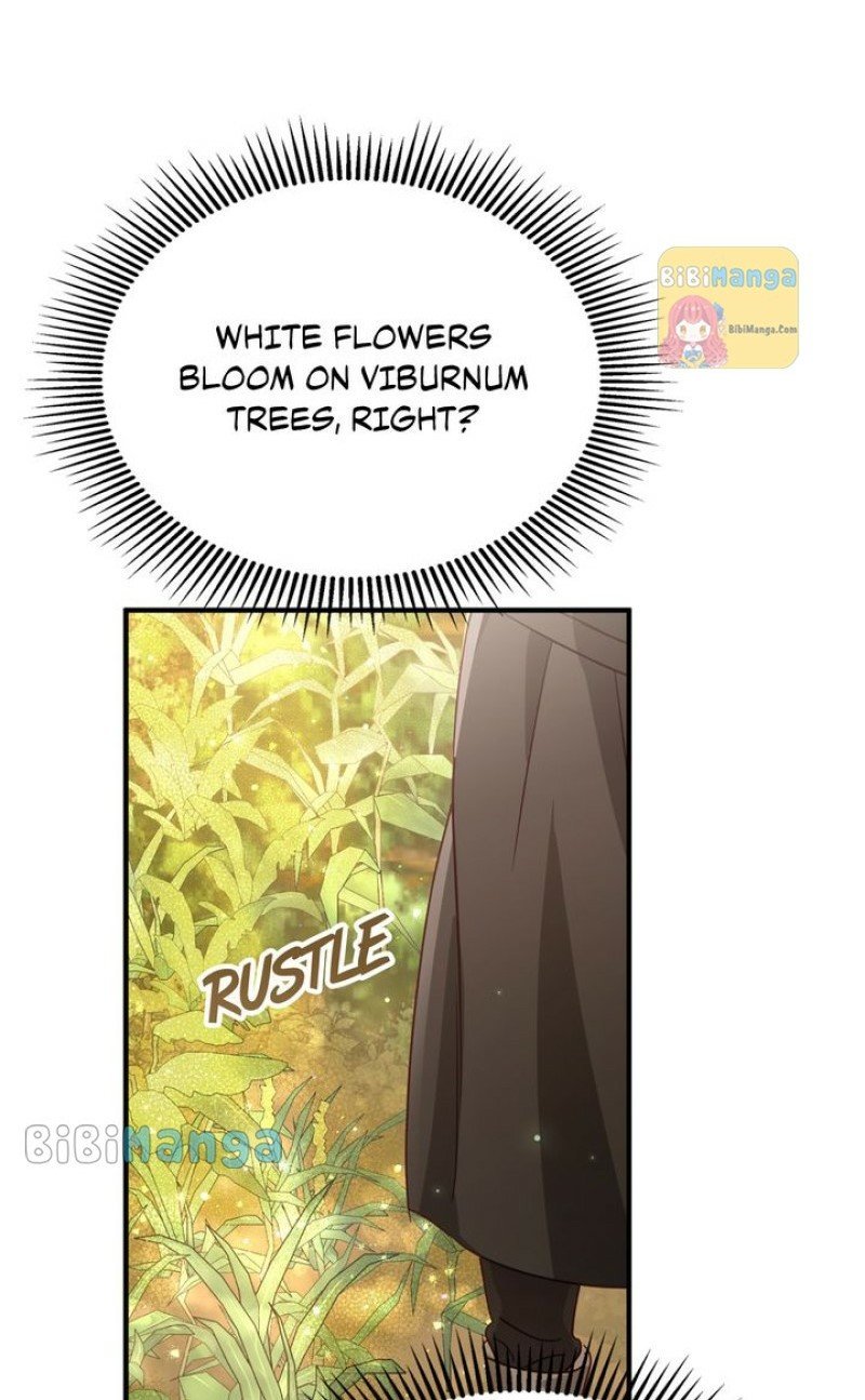 bibimanga 001