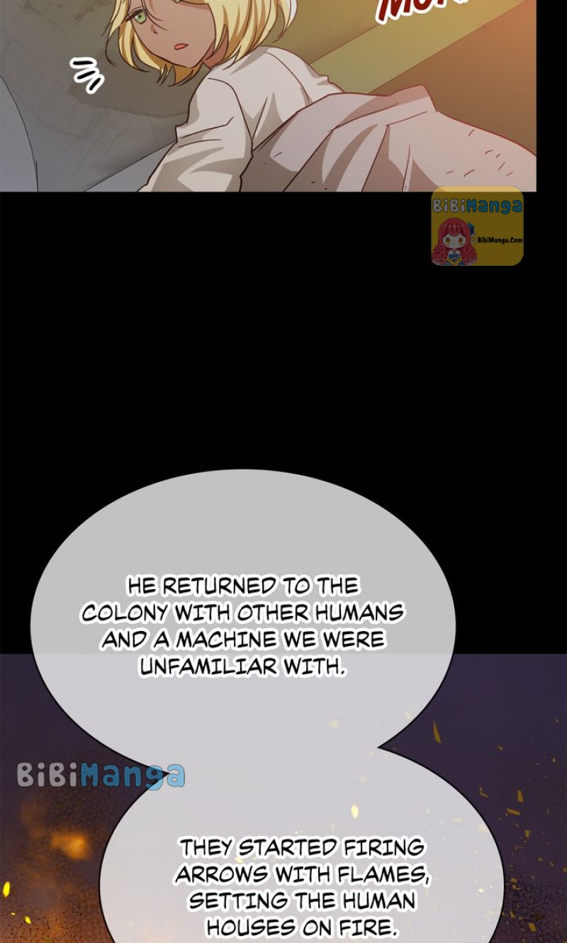 bibimanga 053