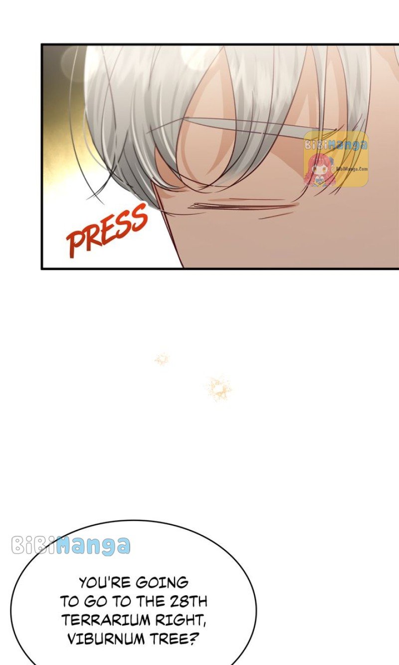 ch 65 41