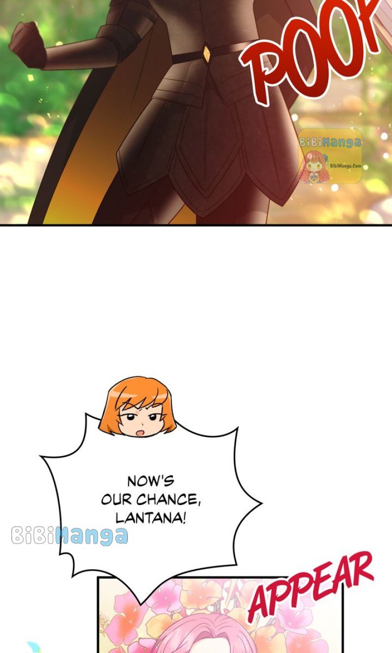 ch 65 75