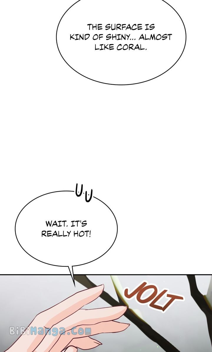 ch 73 23