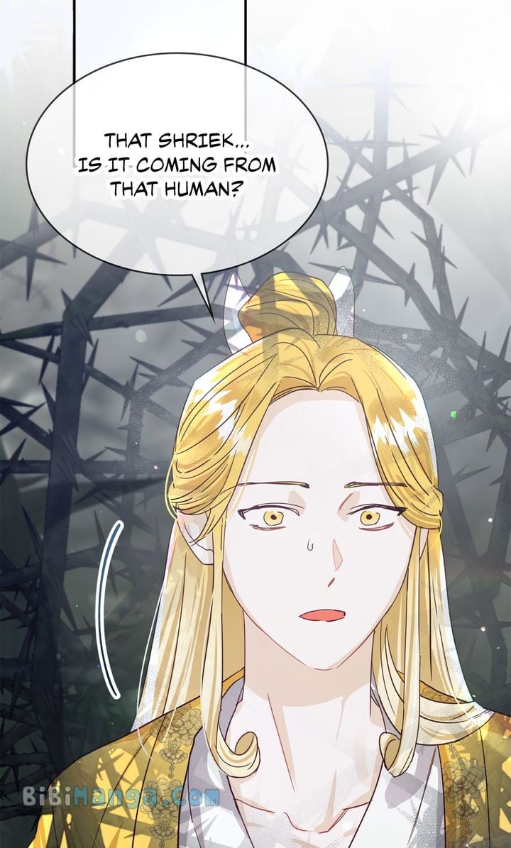 ch 74 11