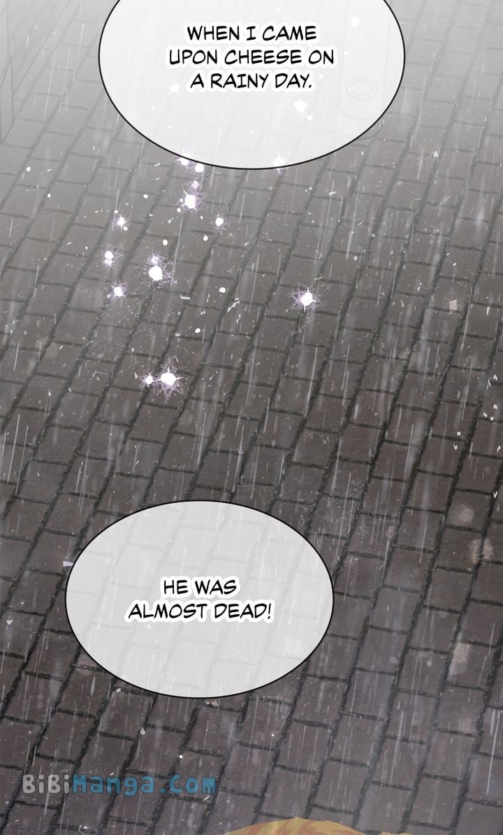 ch 74 27
