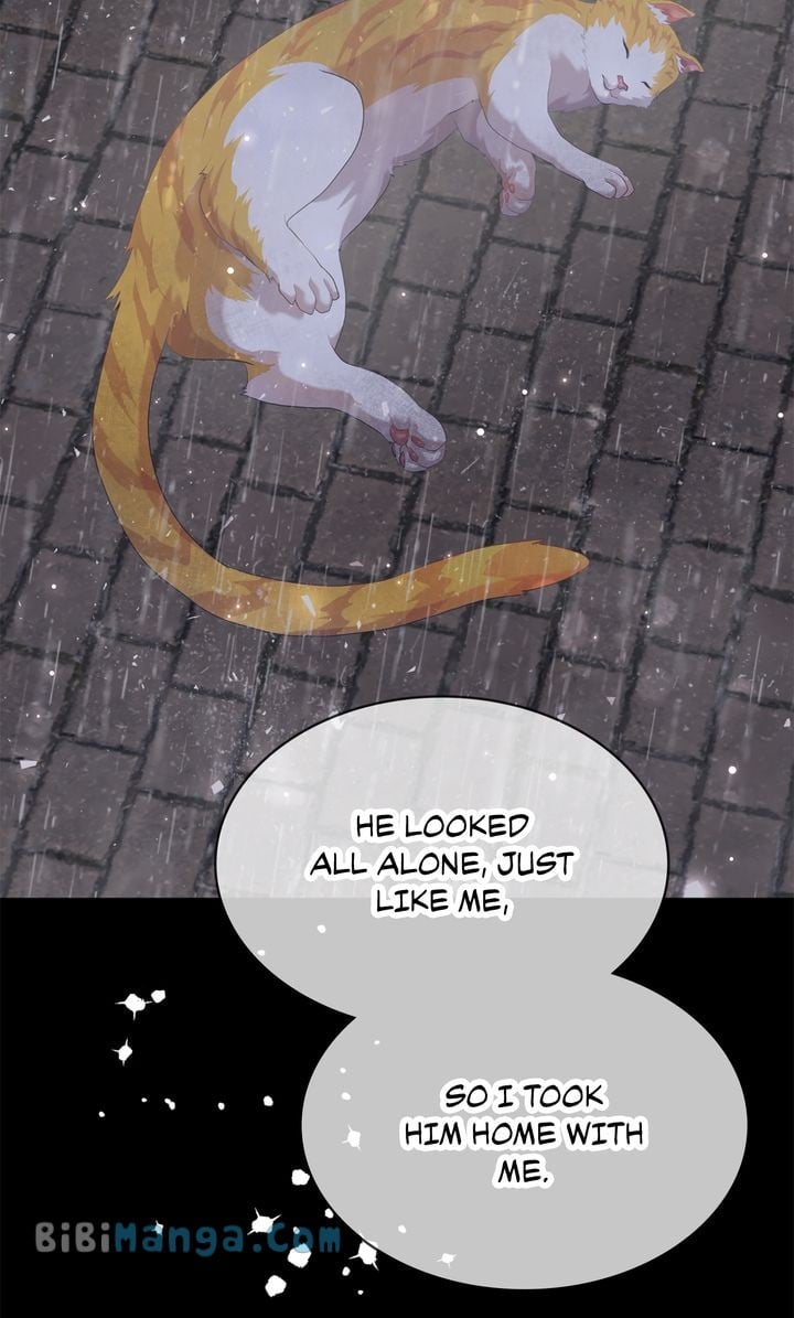 ch 74 28