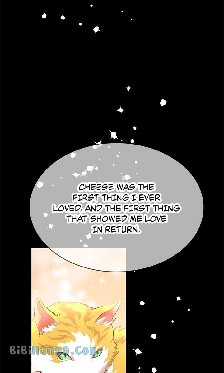 ch 74 29