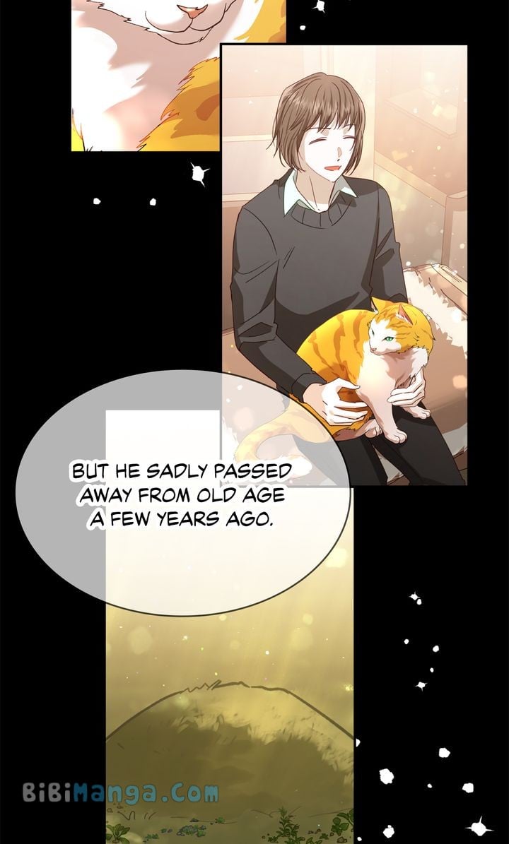 ch 74 30