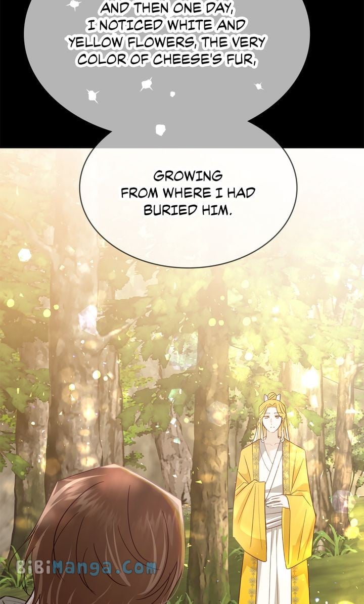 ch 74 33
