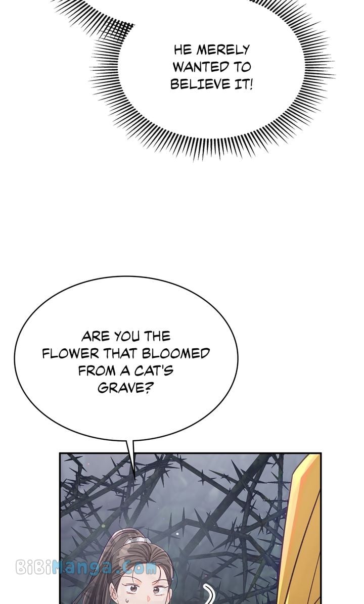ch 74 37