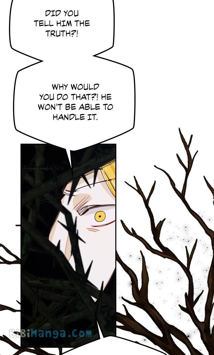ch 74 65