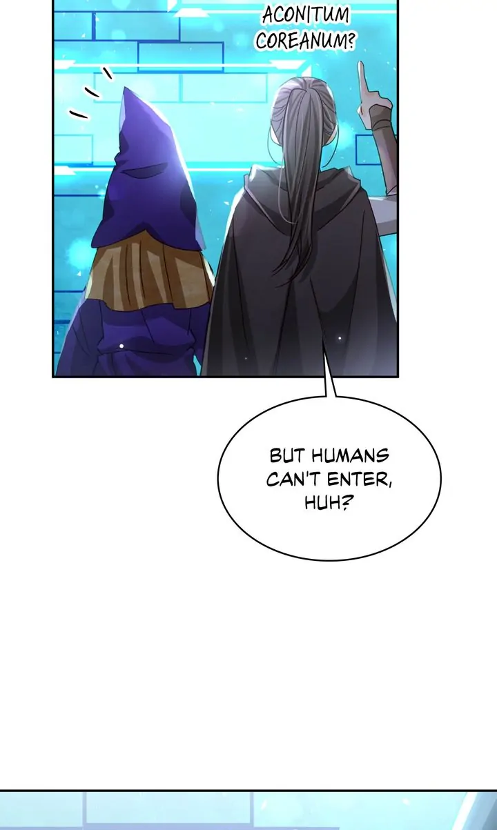 ch 81 37