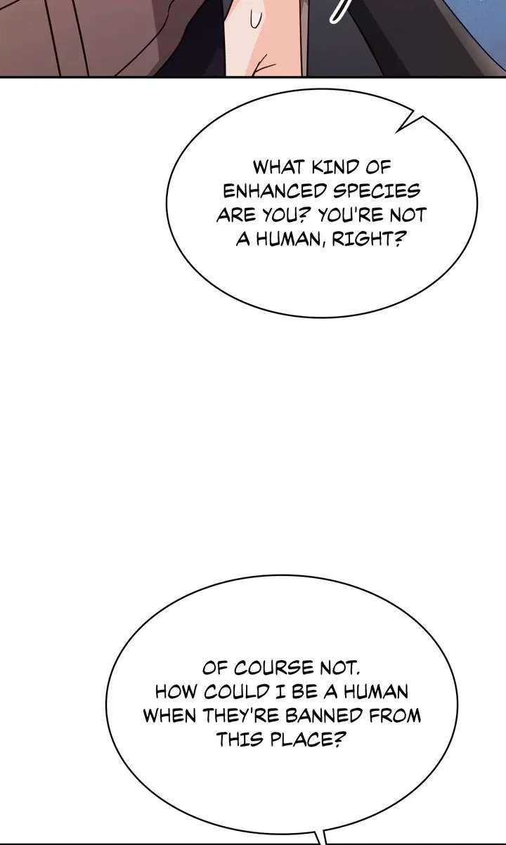 ch 81 55