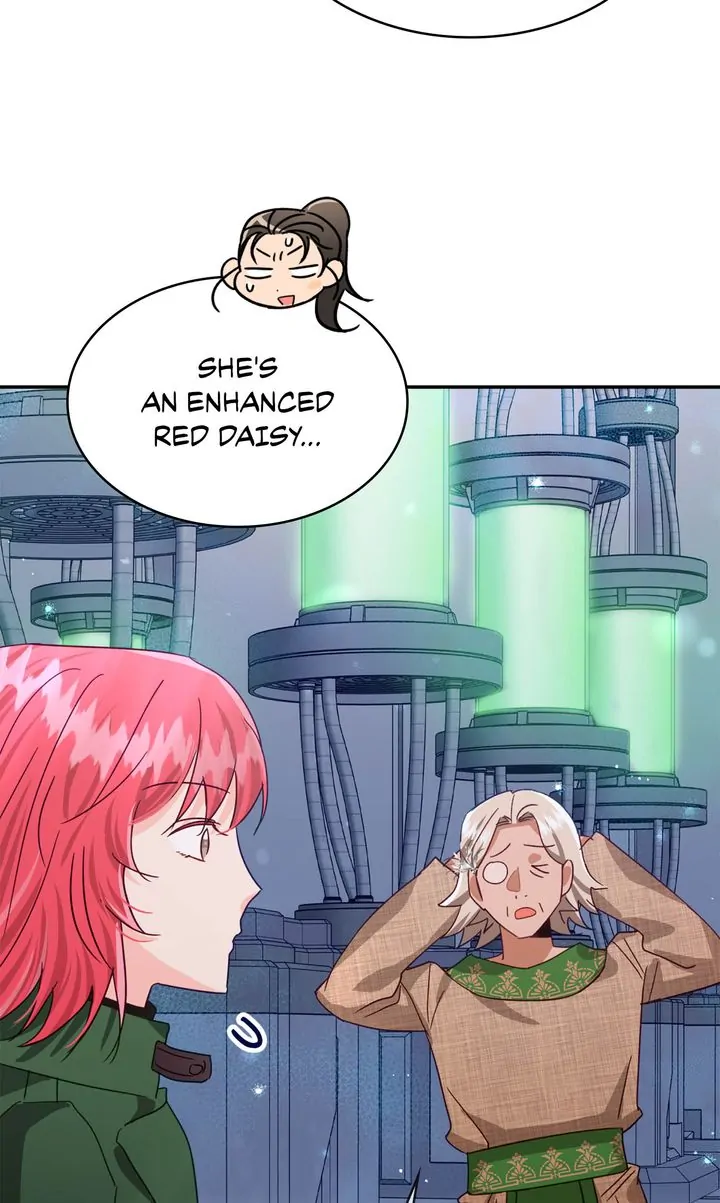 ch 81 60