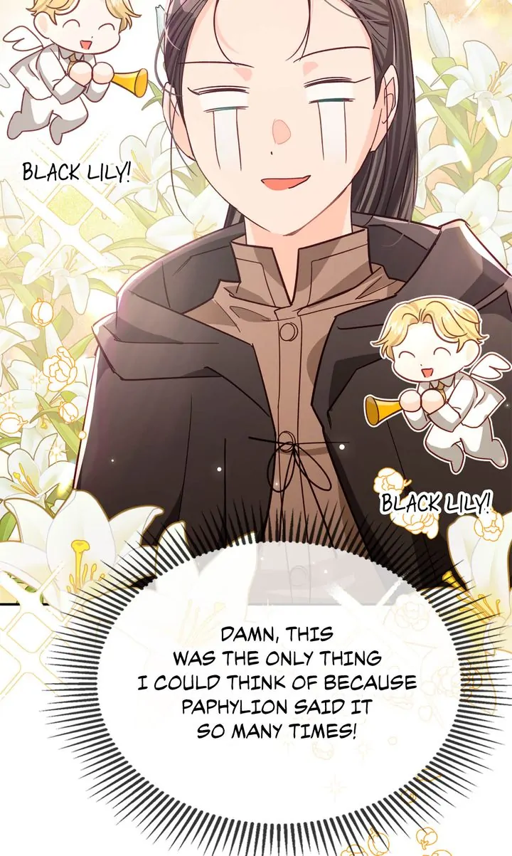 ch 81 64