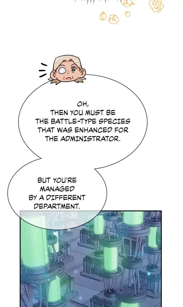 ch 81 65