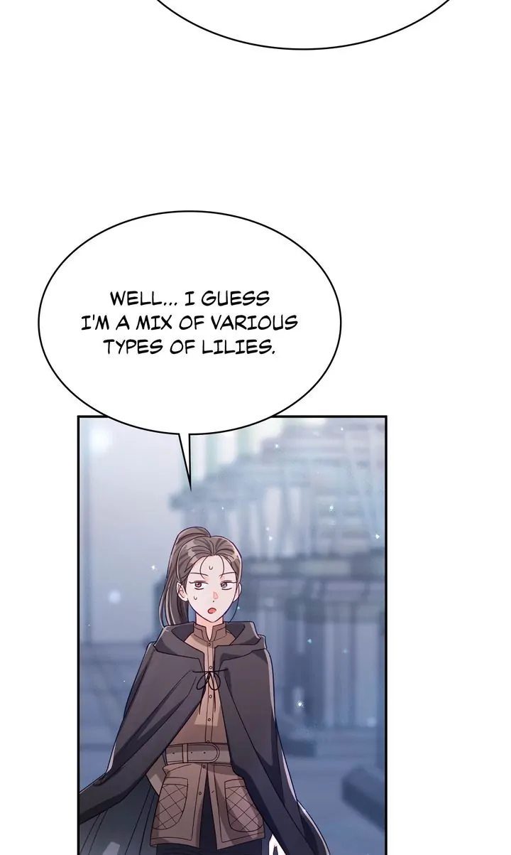 ch 81 71