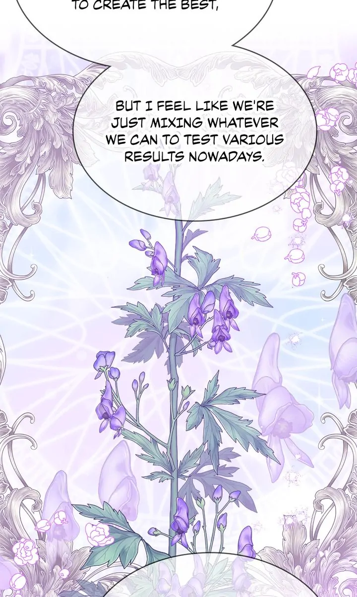 ch 81 73