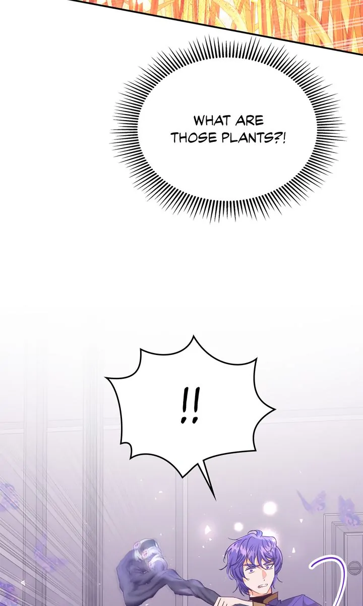 ch 82 82