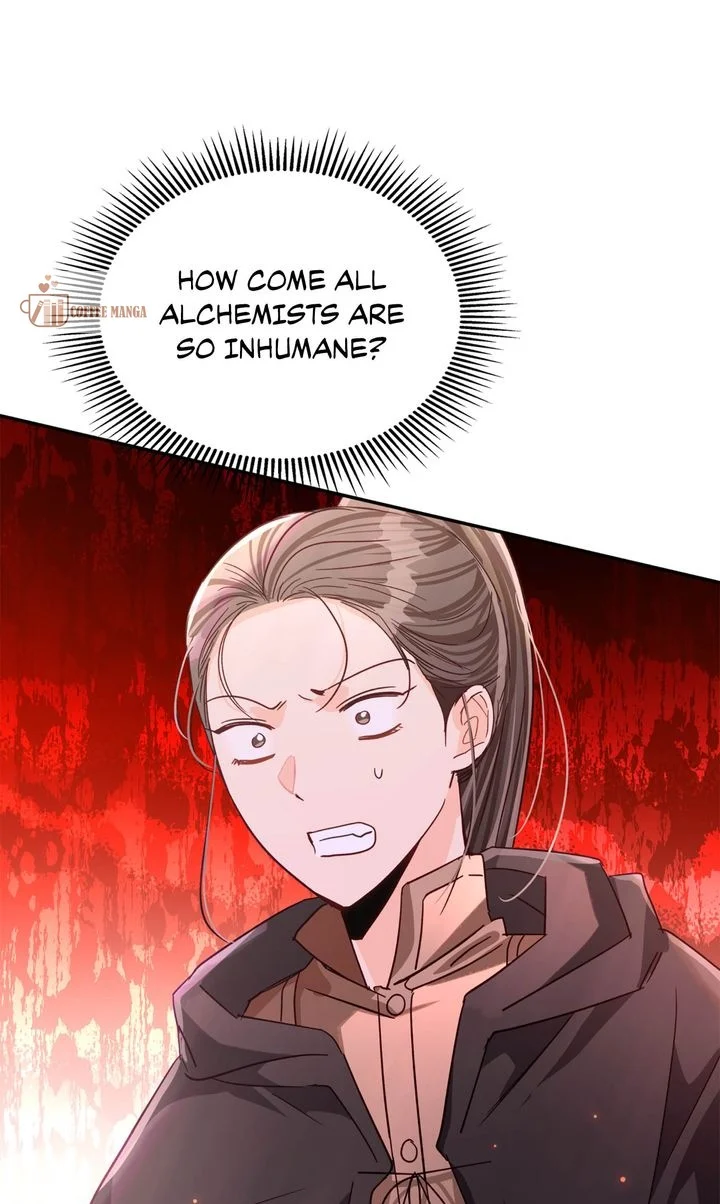ch 85 38